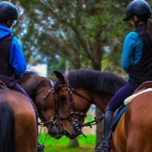Batismo a Cavalo ou Passeio a Cavalo na Mata de Vagos (Para Dois)