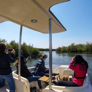 Passeio em Embarcação Solar na Ria de Aveiro "Selvagem"